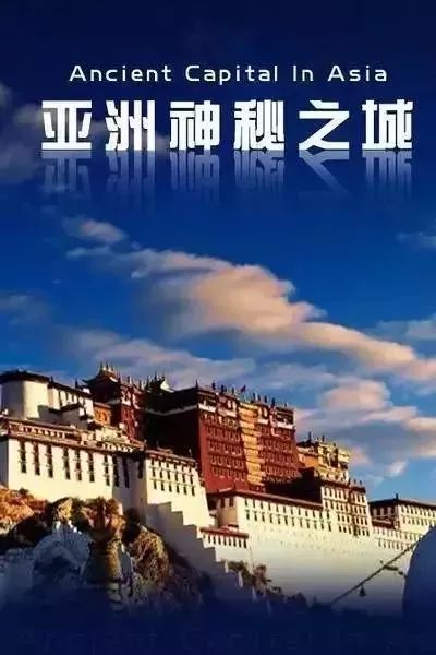 不能出门？这7大洲12部纪录片带孩子走遍世界！