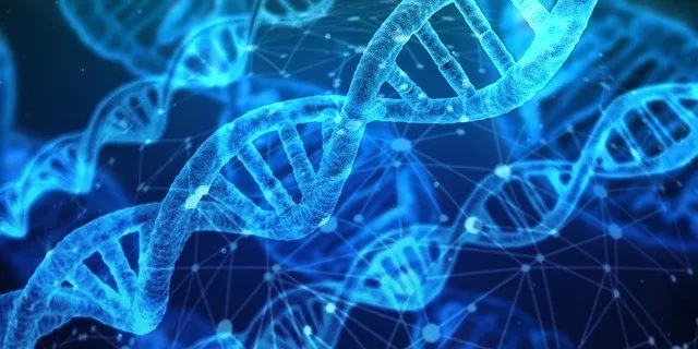 申请名校必备| 这些高含金量的生物、化学国际竞赛，推荐参加！