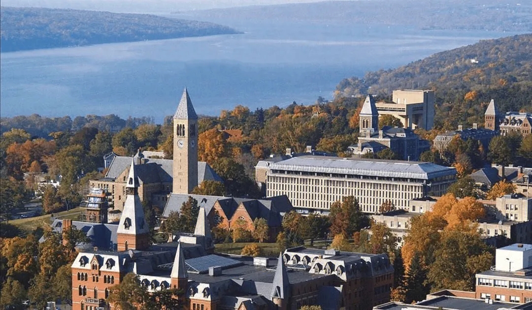 导师解读｜2024康奈尔录取分享