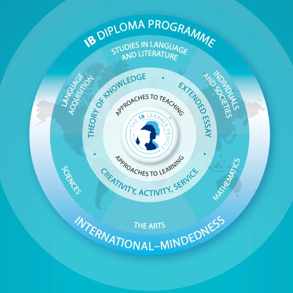 IB、AP与A-Level：解码国际教育三大课程体系的特色